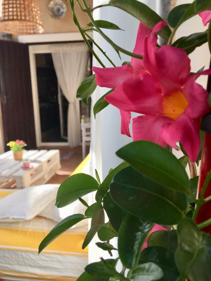 Villa Miranda El Rompido Εξωτερικό φωτογραφία
