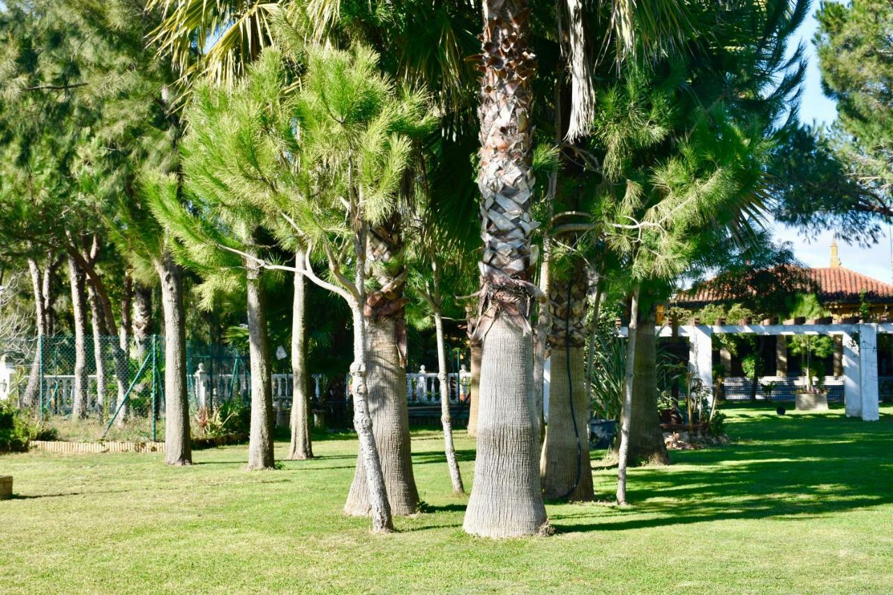 Villa Miranda El Rompido Εξωτερικό φωτογραφία